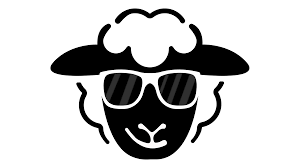 opinion blacksheep academy